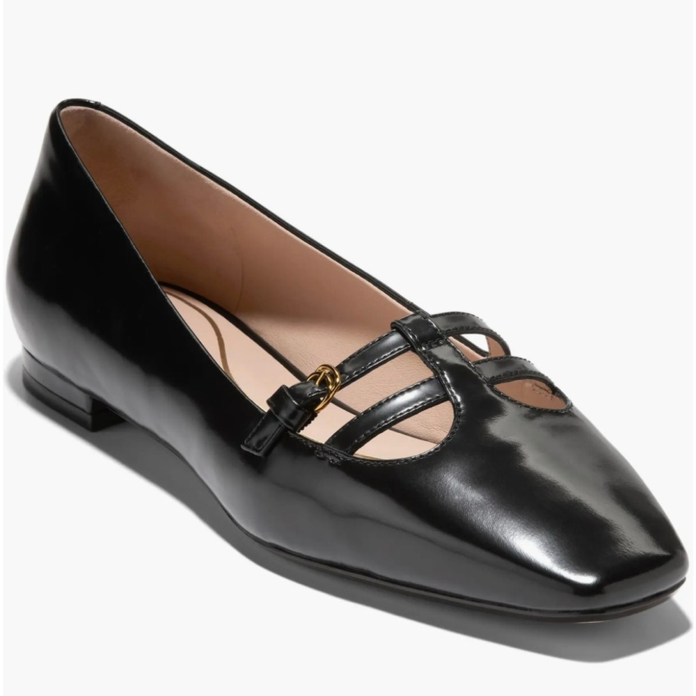 Bridg T Strap Ballet Flat Shoes( New in Box)